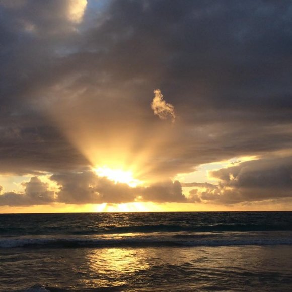 Hi This is Samson & I’m Kathy! I’m So glad you stopped by - I love offers ♥️🙏🛍 - Picture 14 of 15